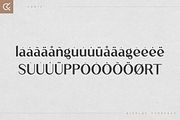 Ludic - Display Vintage Font, a Font by Only Fonts (Thumbnail 9 of 10)