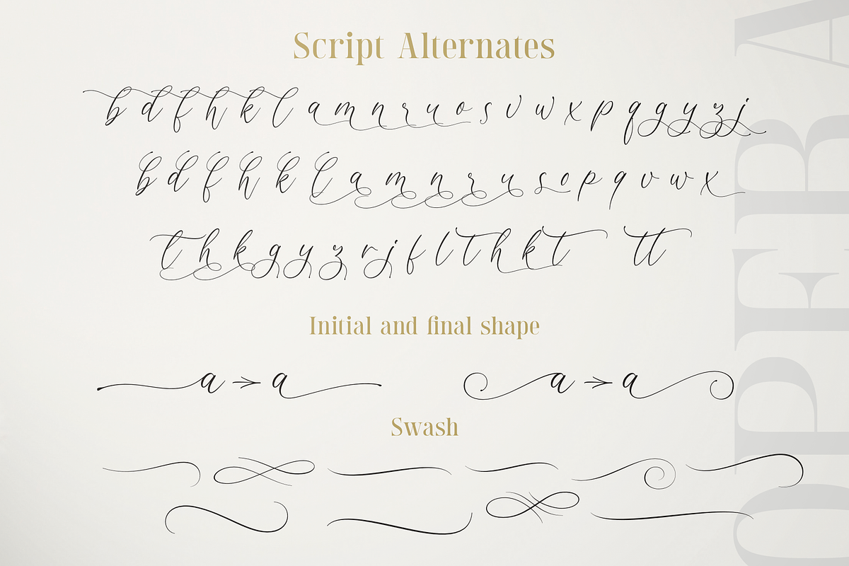 Opera Signature | Font Duo, a Serif Font by Larin Type Co.