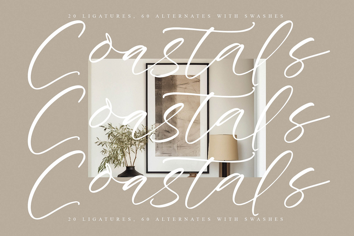 Daylight Beauty, a Handwritten Font by operatype.co (Photo 4 of 15)