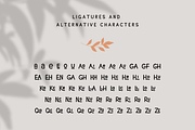 La Coquine, a Handwritten Font by Sofia Skoog (Thumbnail 6 of 10)