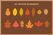 Autumn Nature Vector Collection, a Decorative Illustration by Type Twice (Thumbnail 2 of 10)