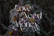 Vilergan Serif Font, a Serif Font by Typegoals Studio (Thumbnail 4 of 9)