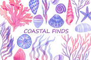 Coastal finds, a Seasonal Illustration by Watercolor life (Thumbnail 1 of 8)