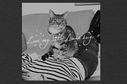 Weekend In Paris Font Duo, a Handwritten Font by Nicky Laatz (Thumbnail 9 of 22)
