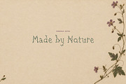 FolkFlora Botanical Display Font, a Sans Serif Font by Graphic Spirit (Thumbnail 7 of 8)