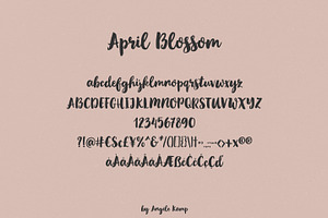 April Blossom Bold Brush Font