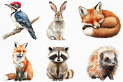 Watercolor Woodland Life Clipart, an Illustration by Craft Nest (Thumbnail 3 of 6)