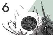 Plant Brushes v2, a Brush Add-On by envirographic (Thumbnail 4 of 5)