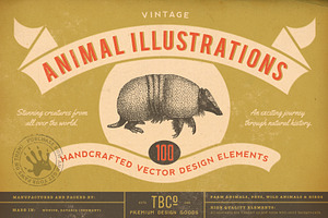 SALE! 100 Animal Illustrations