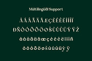 Marlyn Tomorrow Luxury Minimal Serif, a Serif Font by WhymoreArt (Thumbnail 10 of 11)