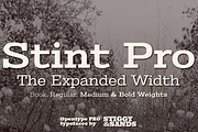 Stint Expanded Pro Family, a Serif Font by Stiggy & Sands (Thumbnail 1 of 5)