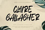 Evocative - Brush Font, a Script Font by Alpaprana (Thumbnail 5 of 13)