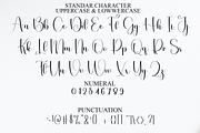 Elegant Alphabet, a Handwritten Font by FreshTypeINK (Thumbnail 6 of 8)