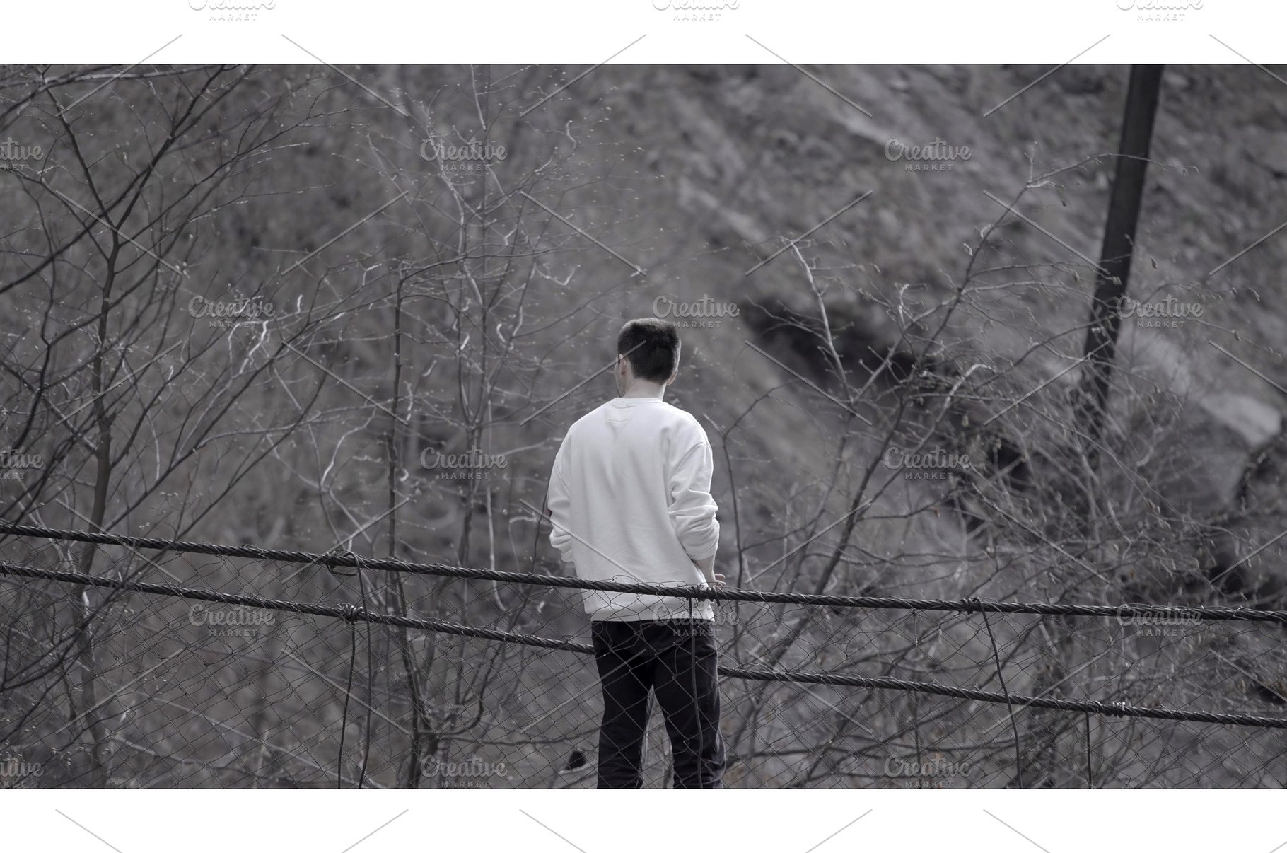Rear view of a man standing at the, a Nature Photo by Media Whale Stock