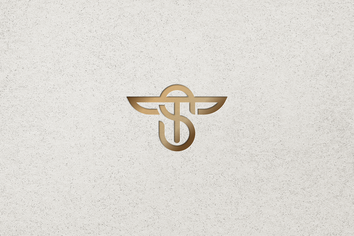Minimalist Luxury Initials TS Logo, a Branding & Logo Template by Luxury Logos (Photo 4 of 4)