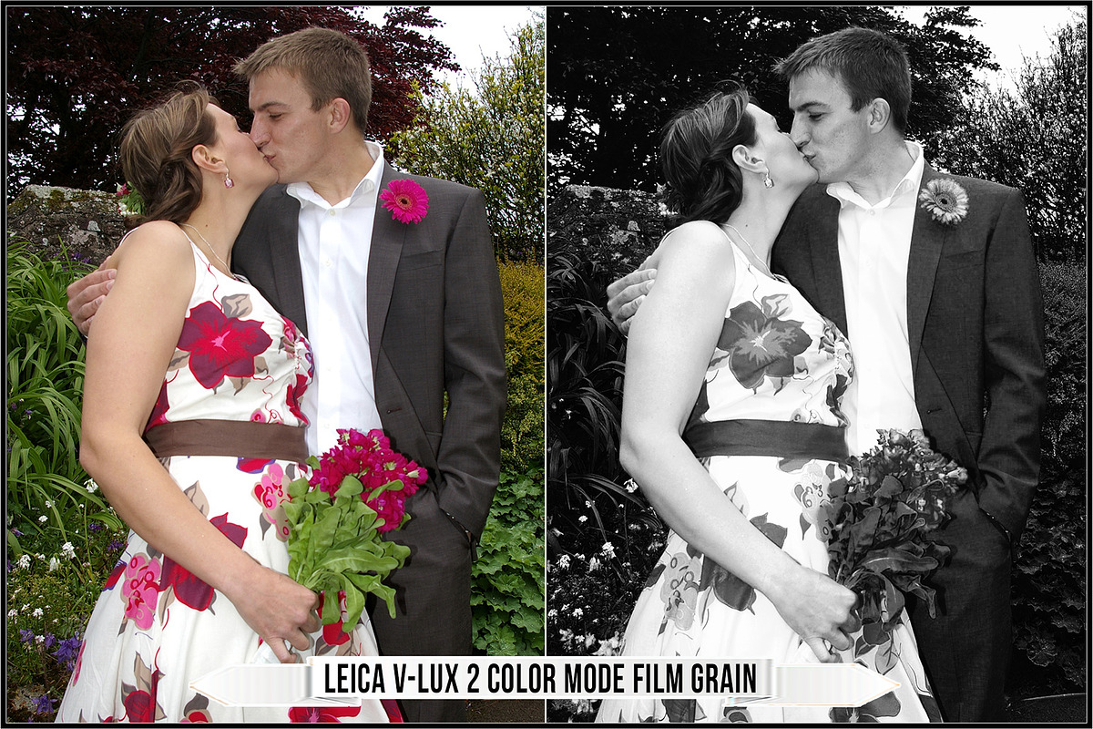 Leica Film Styles, a Plug-in Add-On by Raztrend (Photo 19 of 30)