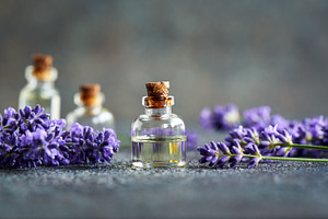 A bottle of essential oil with blooming lavender plant on gray b, a Food & Drink Photo by Madeleine Steinbach