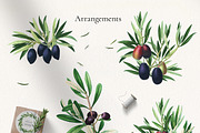 Vintage Olive Graphic Collection, a Decorative Illustration by Olga Begak Art & Design (Thumbnail 5 of 11)