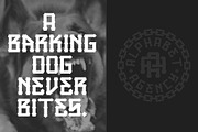 GAMEBRED FONT, a Serif Font by Alphabet Agency (Thumbnail 3 of 9)