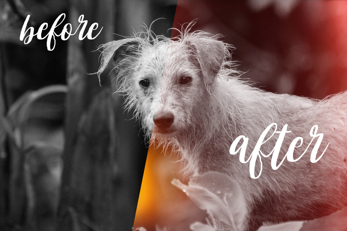 Lens Flare Effect Photoshop, an Action Add-On by PhotoSpirit (Photo 2 of 9)