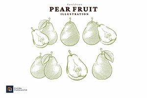 Vintage Hand Drawn Pear Illustration