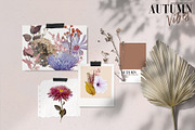 Watercolor Autumn Flowers & Leaves, a Decorative Illustration by Damian Roh (Thumbnail 6 of 16)