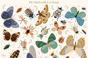 Butterflies & Bugs, an Animal Illustration by dariikos (Thumbnail 2 of 4)
