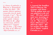 Berganza Font, a Serif Font by Cuchi, qué Tipo! Foundry (Thumbnail 6 of 10)