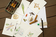 Watercolor spices vector set-1, an Illustration by miminoshka (Thumbnail 7 of 11)