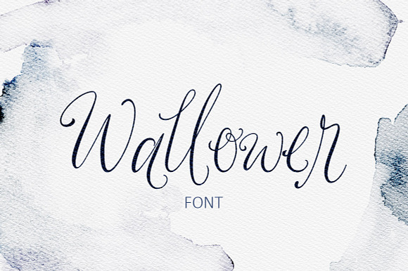 Wallower Script Font preview 6