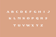 Lawson, a Font by Studio One Four (Thumbnail 2 of 6)