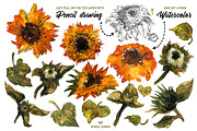 Sunflower, an Illustration by Maria Redko (Thumbnail 2 of 7)