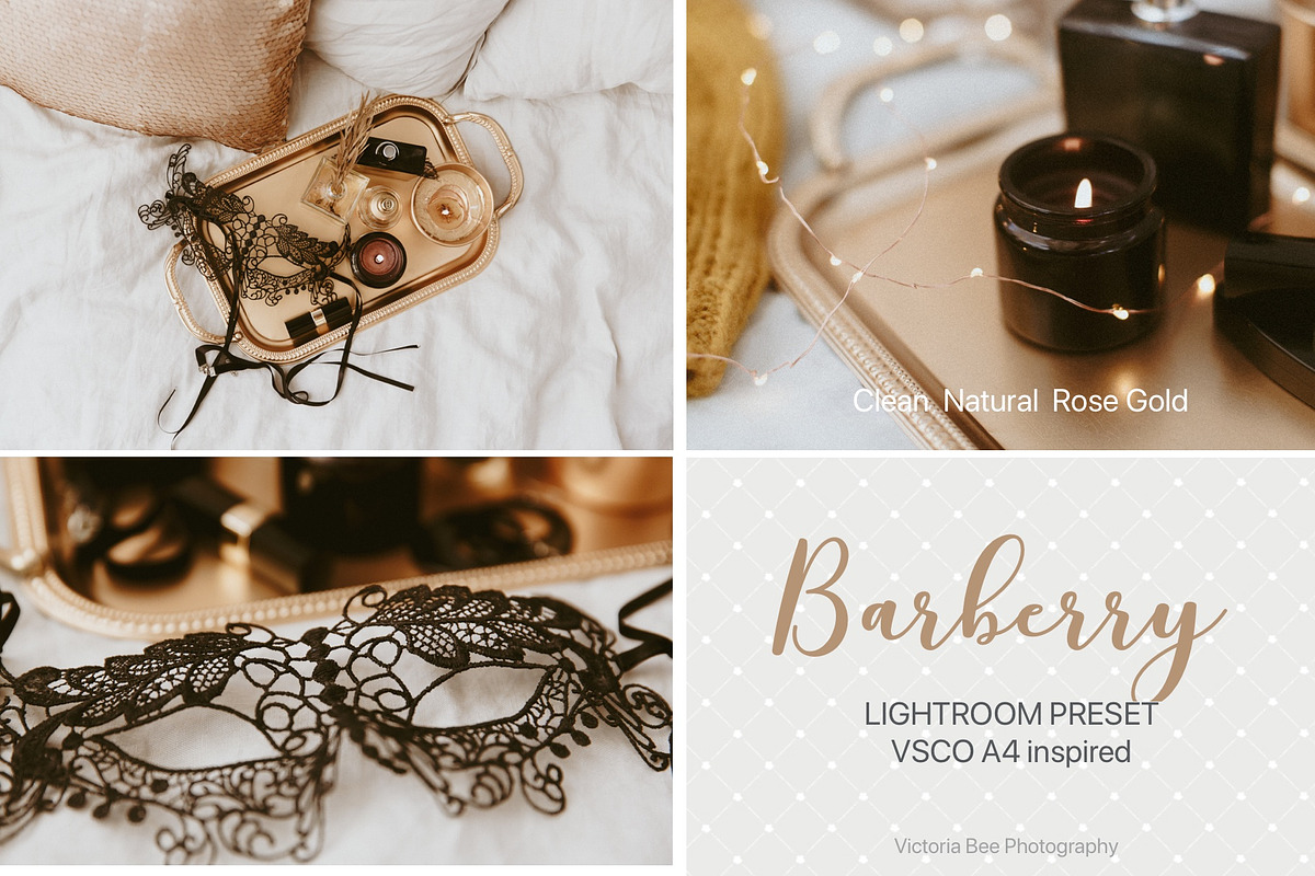 Desktop Lightroom Presets BARBERRY preview 3