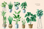 INDOOR PLANTS watercolor clipart set, a Decorative Illustration by MariArtySpace (Thumbnail 2 of 8)
