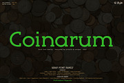 Coinarum - Serif font family, a Serif Font by Artistic & Unique (Thumbnail 1 of 12)