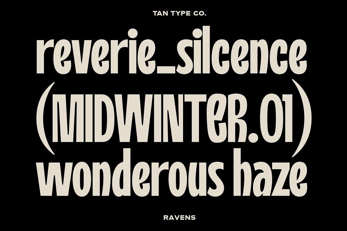 TAN - RAVENS, a Serif Font by TanType (Photo 6 of 11)