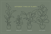 Home Plant Lover, a Decorative Illustration by Anna.Klets (Thumbnail 3 of 11)