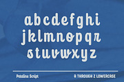 4 Fonts Combo, a Script Font by Kochev Type (Thumbnail 10 of 35)
