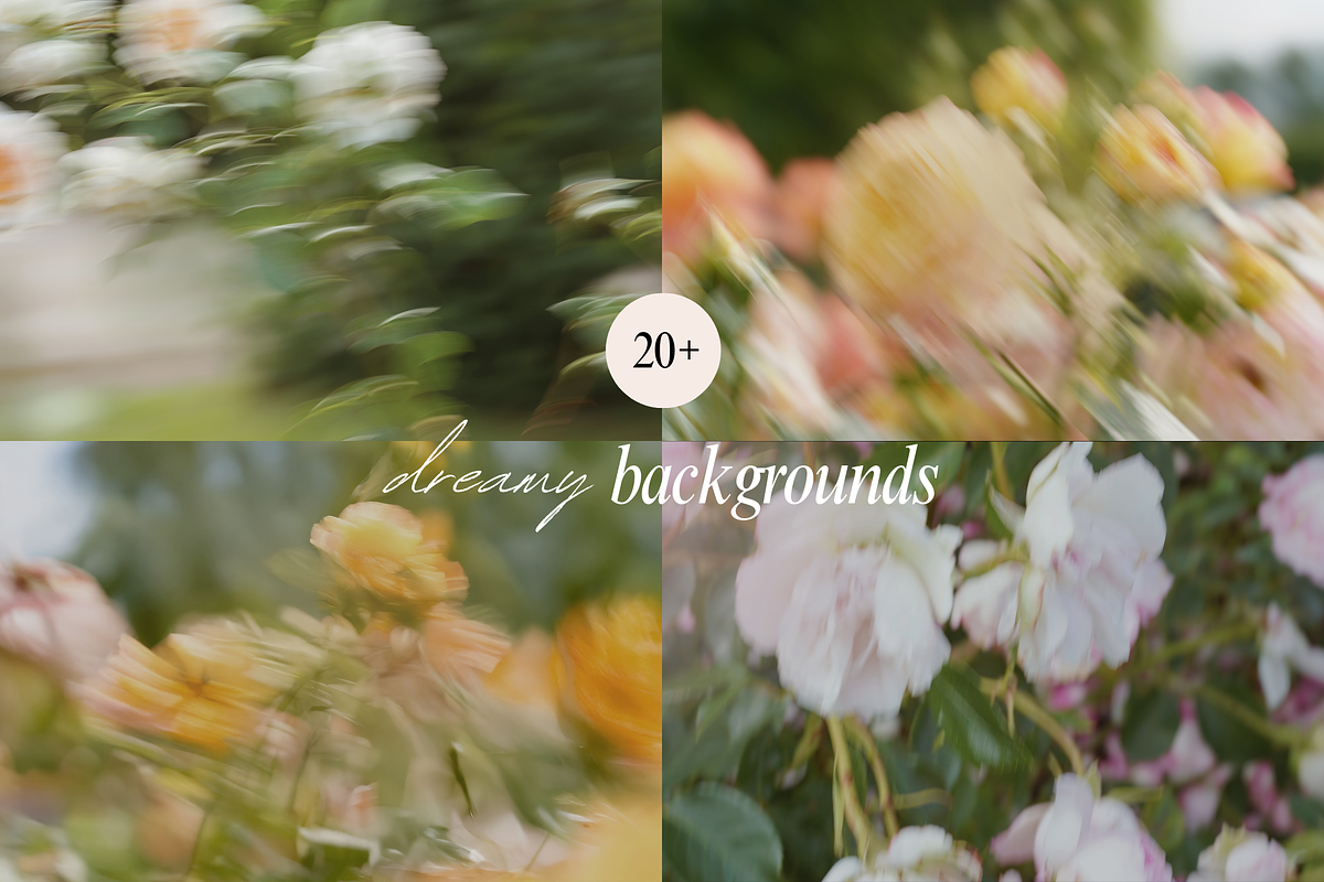 Delicate Blurry Floral Backgrounds, a Background Graphic by eclosque (Photo 27 of 31)