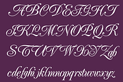 Elfort, a Script Font by Intellecta Design (Thumbnail 2 of 2)