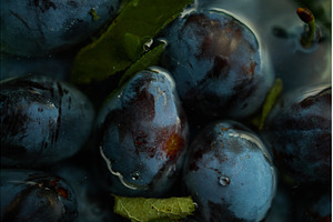 Fresh plums with leaves collected, a Food & Drink Photo by IlliaBondarPhotography