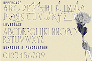 QUARANTINE REGULATIONS FONT, a Serif Font by 177Studio (Thumbnail 7 of 7)