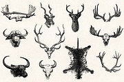 Hunting - Vintage Illustrations, a Sport Illustration by Graphic Goods (Thumbnail 7 of 12)