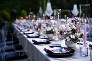 A Garden of Roses | Wedding, Events, a Nature Photo by Farewell (Thumbnail 3 of 41)
