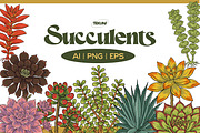 Succulent Illustration Pack, an Illustration by Tekuni (Thumbnail 1 of 13)