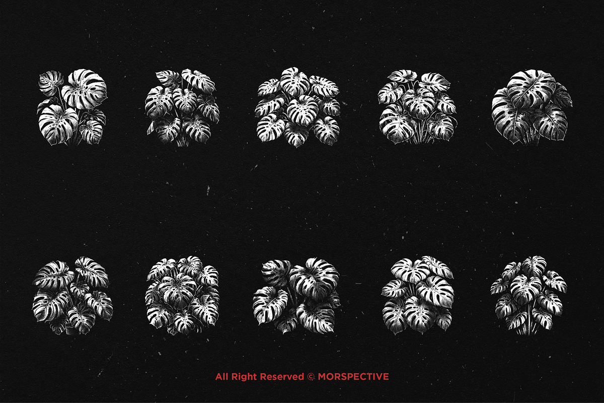 10 Bundle Dark Art Monstera Plant, an Illustration by Morspective (Photo 6 of 7)