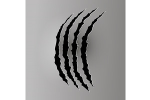 Bear or tiger claw mark, an Animal Illustration by Things for designers