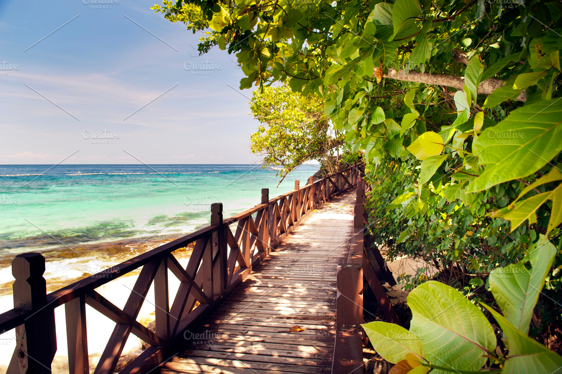 Tropical Walkway, a Nature Photo by THP Creative