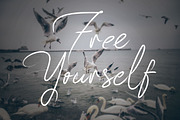 83 script, a Script Font by beeART (Thumbnail 3 of 6)