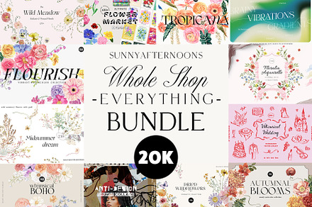 WHOLE SHOP BUNDLE - 20K of asstets